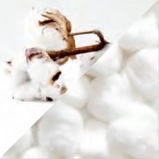 Algodón